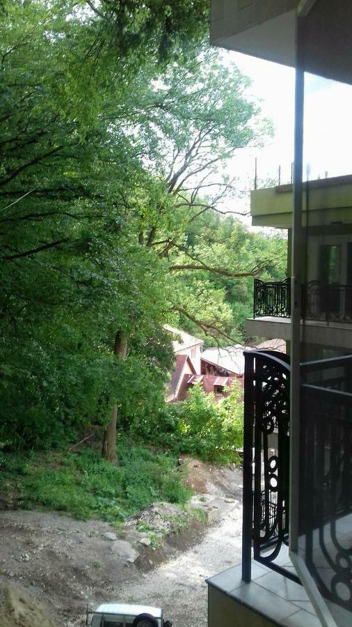 Ferienwohnung Apartament Ramona Brașov Exterior foto