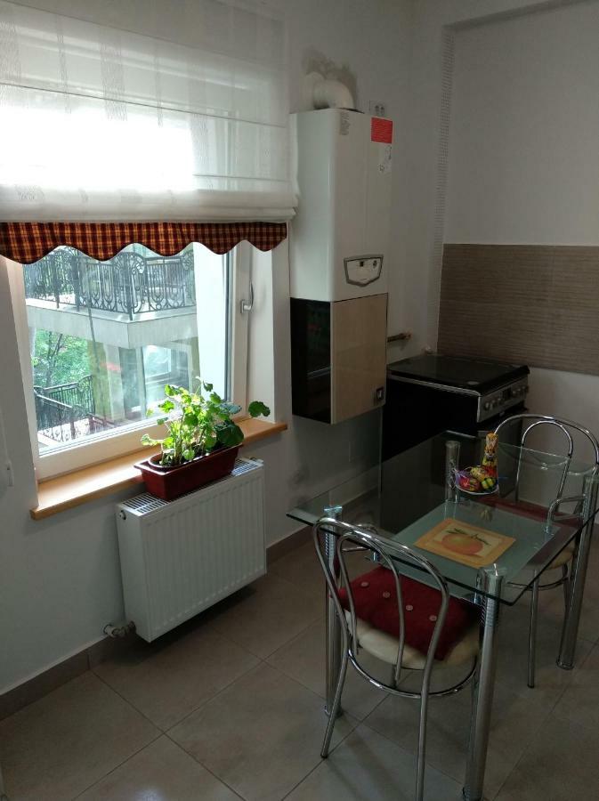 Ferienwohnung Apartament Ramona Brașov Exterior foto