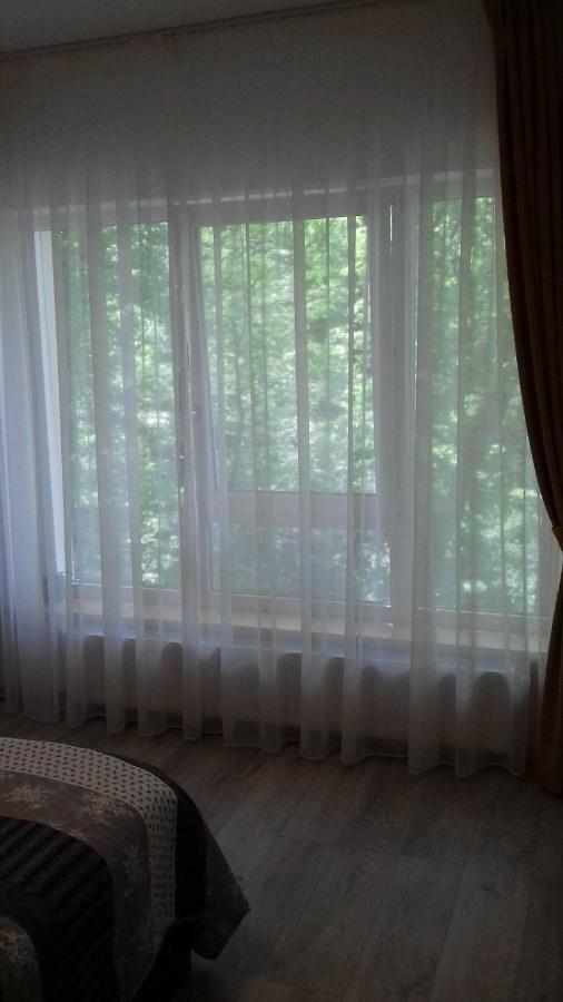 Ferienwohnung Apartament Ramona Brașov Exterior foto